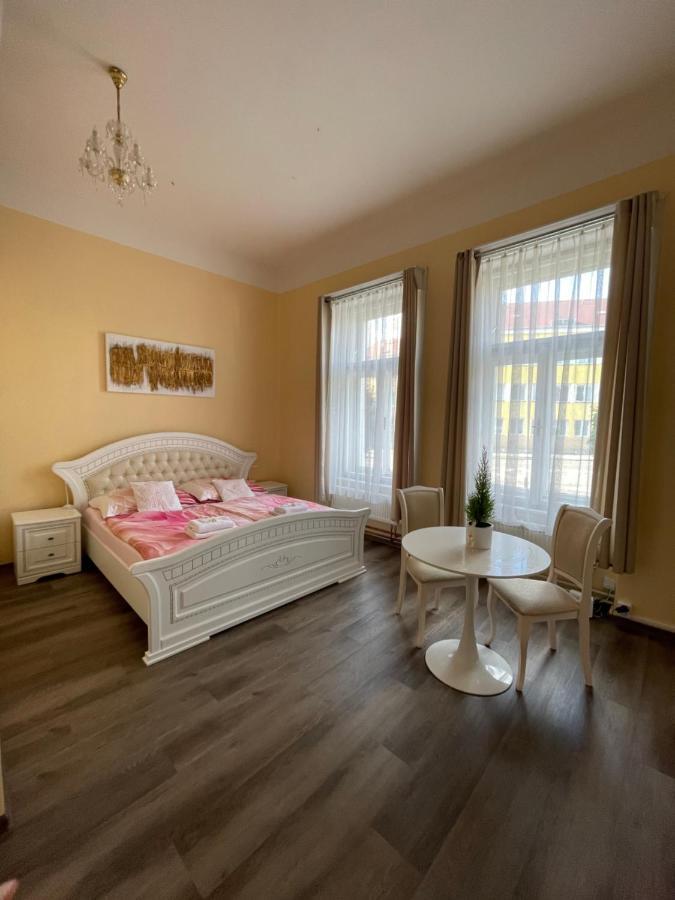 Apartmany Vila Tyniste Tyniste nad Orlici 外观 照片